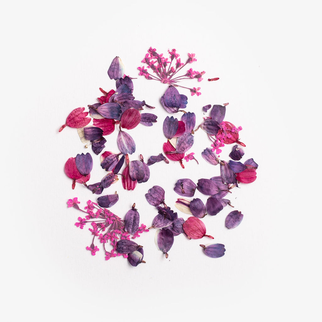 Flower Flakes Wild Orchid Semilac
