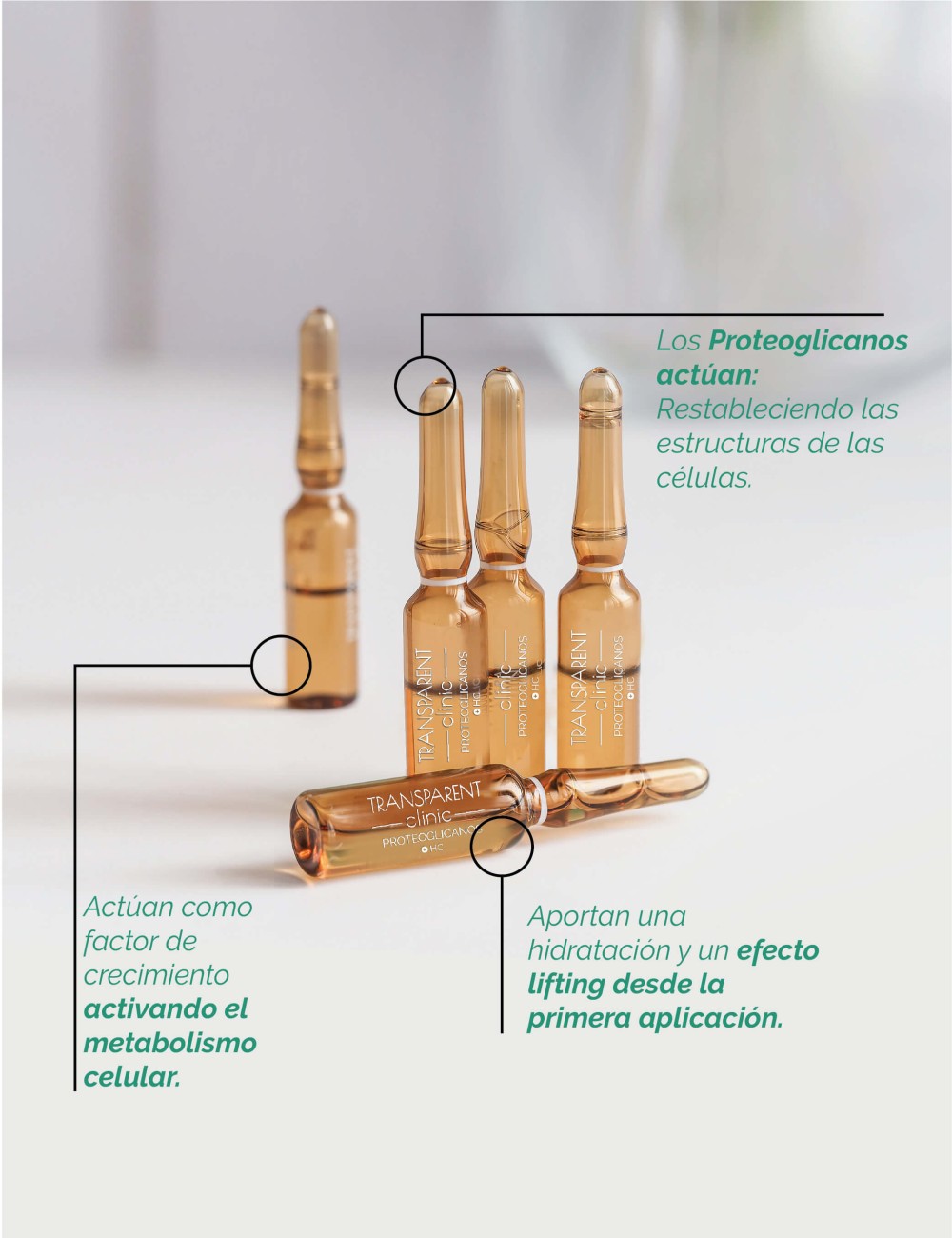 Proteoglicanos+HC 30 amp. x 2 ml